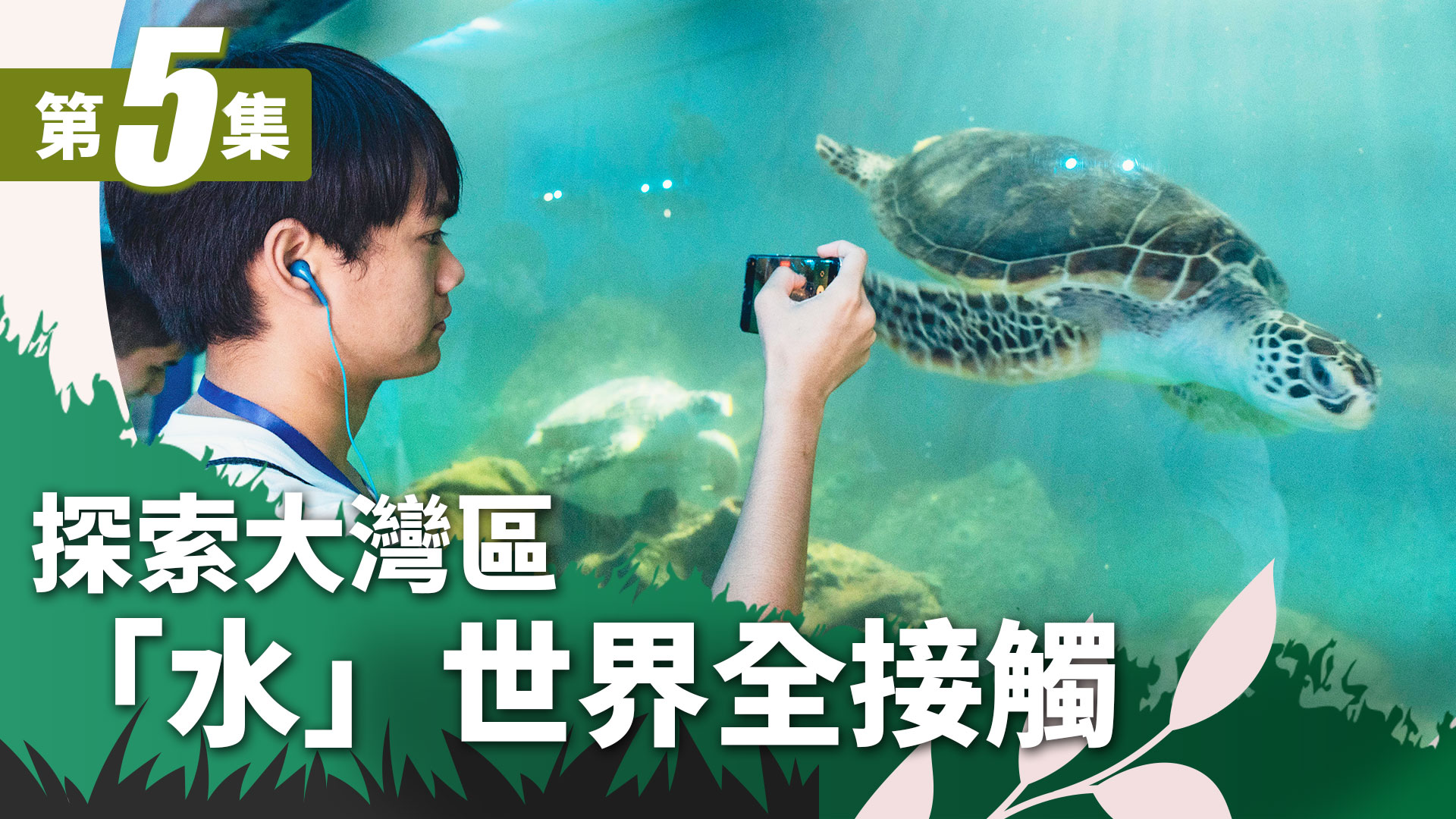 【我是生態導賞員】 第五集：探索大灣區－「水」世界全接觸
