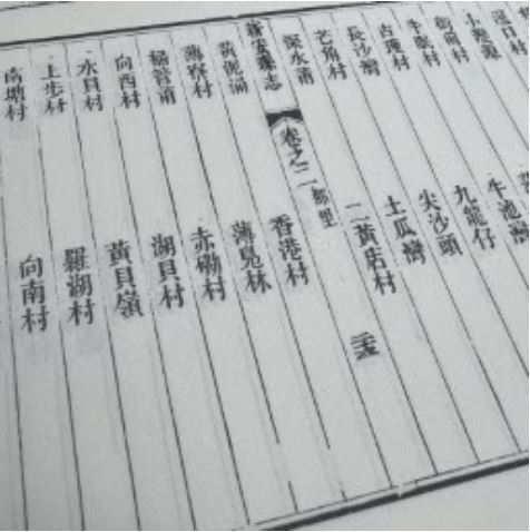 「薄鳧林」為薄扶林的古稱，最早出現在清嘉慶二十四年（1819）的《新安縣志》卷二〈 輿地略·都里〉。當時薄鳧林與香港村和黃泥涌並列，屬官富司管屬村莊，為當時香港島的三大村落之一。