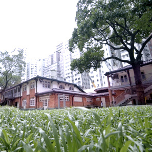 油街實現