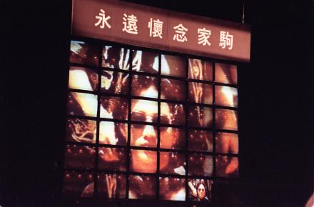 家駒逝世30周年
